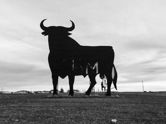 Funds are predicting a bullish February for crypto. (Jared Schwitzke, Unsplash)