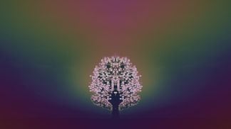 A digital tree (Daniel Kuhn/CoinDesk)