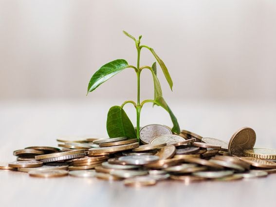 CDCROP: Money sprouting up growth markets economy (Pixabay)