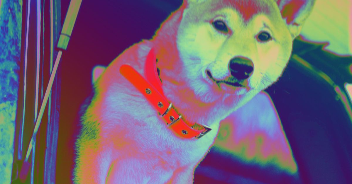 Shiba Inu Developers Floated a Dummy Token and Now Activist Traders Are Making It a Real Thing