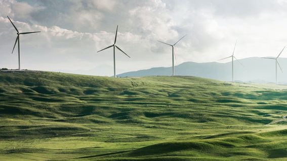 Photo of five wind farm windmills in a field.