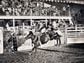 CDCROP: Rodeo in black and white cowboy ride (Unsplash)
