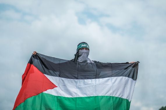 Masked teenager holding the Palestinian flag.