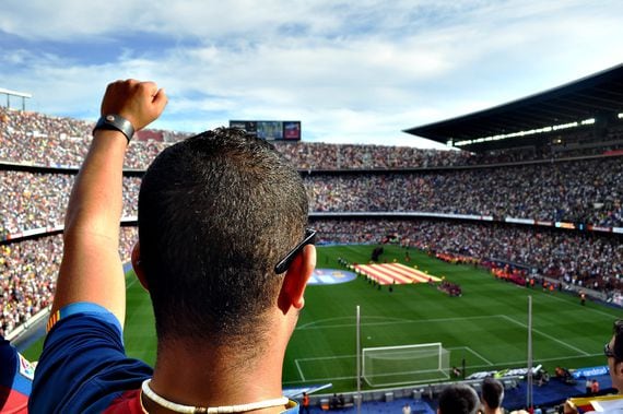 Soccer fan in stadium (Damon Nofar/Pixabay)