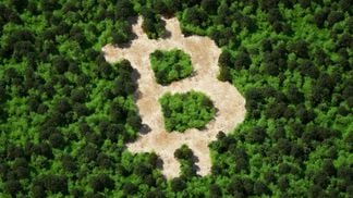 Forest cut in shape of bitcoin sign