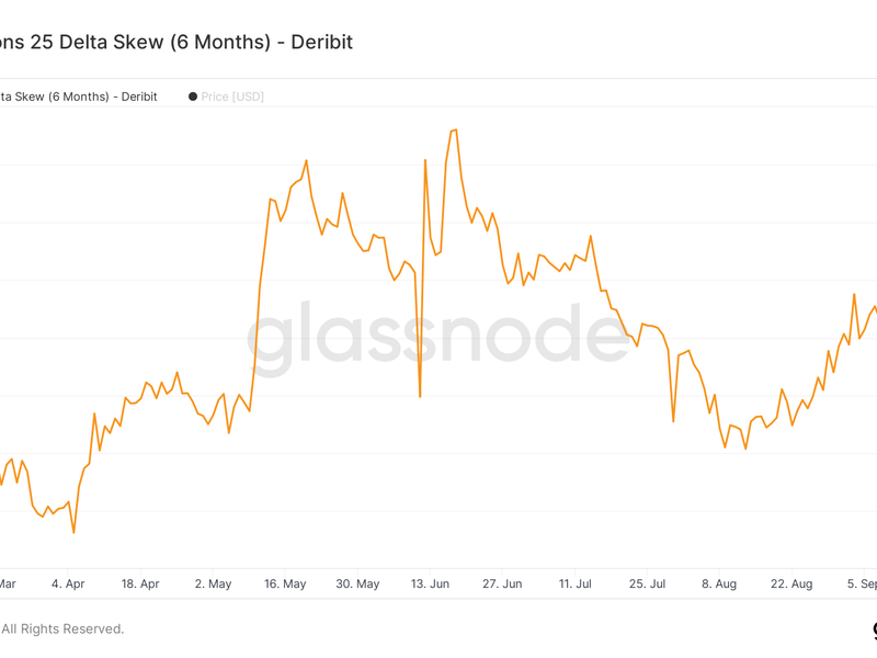 This chart shows a continued bias for puts or options offering protection against price slide. (Glassnode)