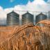 wheat, silos