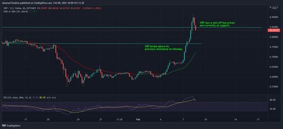 XRP fell to support while RSI remained in overbought levels. (TradingView)