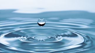 Water ripple. (Credit: Shutterstock)