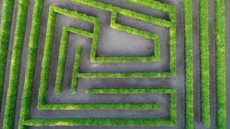maze, confusion