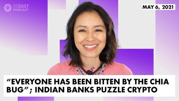 'Everyone Has Been Bitten By The Chia Bug'; Indian Banks Puzzle Crypto