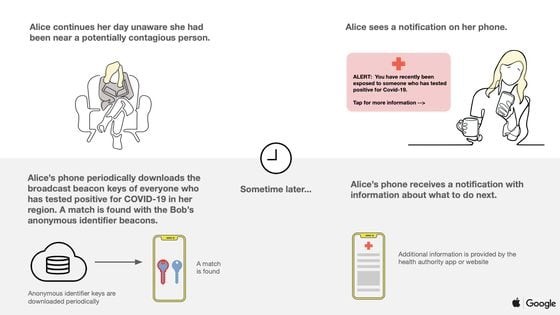 Infographic depicting how contact tracing alerts are sent out. 