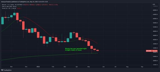 Bitcoin con nuevo récord de ocho semanas consecutivas de pérdidas. (TradingView)