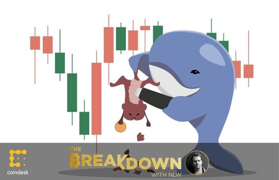 Illustration of a whale shearing the fur off of a hamster who is holding a gold coin, with a price chart in the background, as today NLW talks about the bitcoin halving cycle’s correlation to the price, and the idea of a bitcoin supercycle.