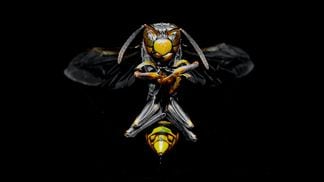 Ethereum Geth bug
