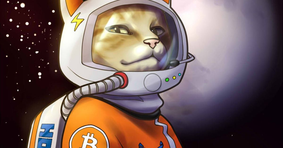 Hodlonaut Expects Craig Wright to Appeal Verdict in Norway