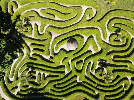 A maze from above