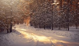 Three traders give tips on getting through crypto winter. (Timothy Eberly/Unsplash)