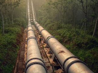 CDCROP:  Huge Pipes running through forest (Muhammad Iswahyudi/Pixabay)