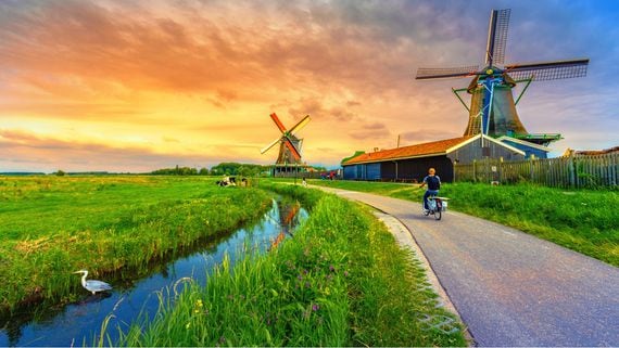 Netherlands (Shutterstock)
