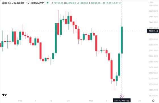 Bitcoin saw its largest daily increase in almost a month (TradingView)