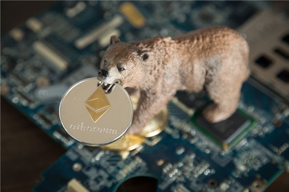 https://www.shutterstock.com/image-photo/bear-ethereum-cryptocurrency-mouth-on-computer-1063157933?src=i_CS5QcNuzYi5ctNfOmsFA-1-10