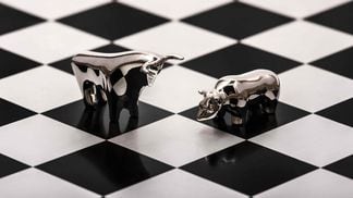 bull, bear, chess