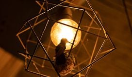 CDCROP: Bird's Nest Light Bulb Cage (Eliza Gkritsi)