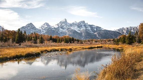Wyoming Now Allows Crypto Wagers for Online Sports Betting