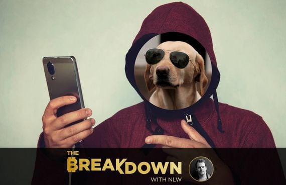 pseudo-anonymity dog