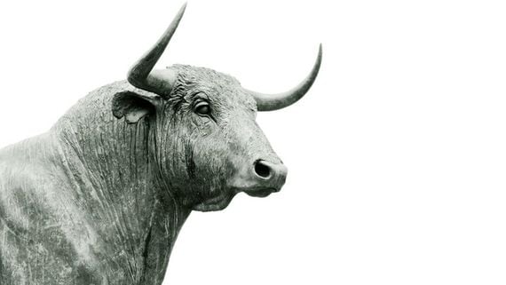 We Are 'Absolutely Not' in a Crypto Bull Market Yet: Morph Co-Founder