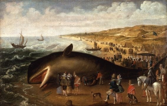 The-whale-beached-1617