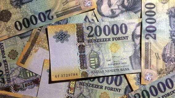 Hungary is exploring a digital forint (tomfield/Pixabay)