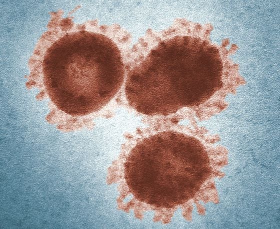 Coronavirus, via the CDC, Unsplash 