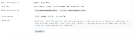 Euler hacker apologizing for their actions in a blockchain message. (Etherscan)