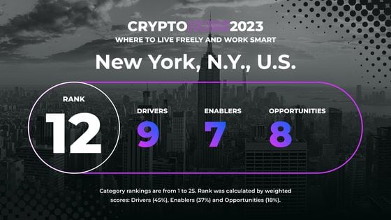 Data breakdown for New York City in Crypto Hubs 2023 ranking