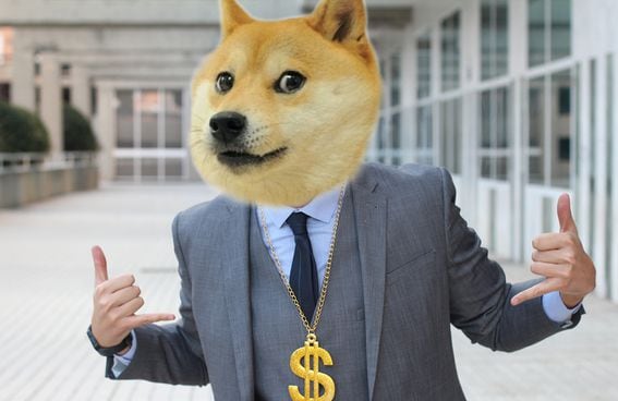 is dogecoin the next bitcoin