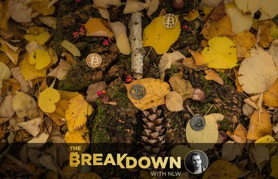 Bitcoins in the woods surrounded with fall leaves