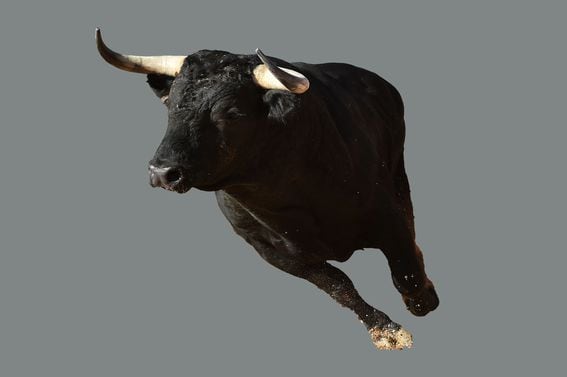 Grayscale bull bitcoin trust