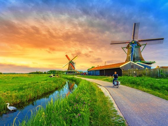 CDCROP: Netherlands (Shutterstock)