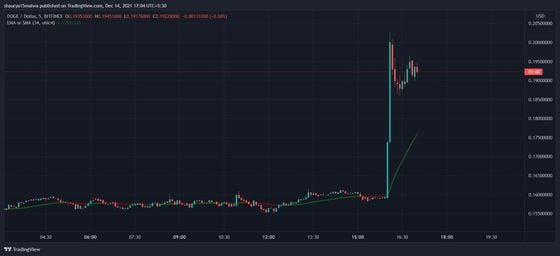 Dogecoin spiked after Musk's tweet. (TradingView)