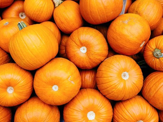 CDCROP: Full frame shot of bright orange pumpkins October has been a historically strong month for bitcoin. (Alexander Spatari/Getty Images)